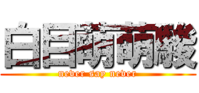白目萌萌駿 (never say never)