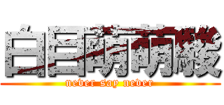 白目萌萌駿 (never say never)