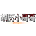 胡历小哥哥 (Jianghao)