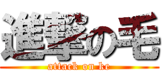 進撃の毛 (attack on ke)