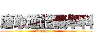 磨取通證義學科 (Anestheology)