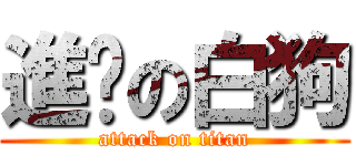 進擊の白狗 (attack on titan)