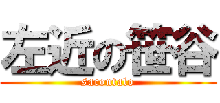 左近の笹谷 (sacontalo)