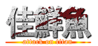 佳鮮魚 (attack on titan)