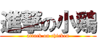 進撃の小鶏 (attack on chicken)