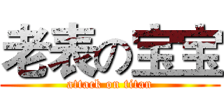 老表の宝宝 (attack on titan)