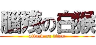 腦殘の白猴 (attack on titan)