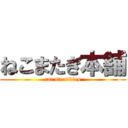 ねこまたぎ本舗 (cat straddles)