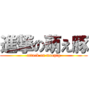 進撃の萌え豚 (attack on moepig)