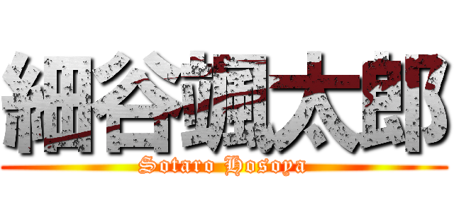 細谷颯太郎 (Sotaro Hosoya)