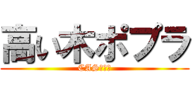 高い木ポプラ (CAS主です)