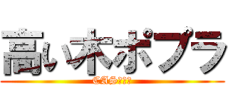 高い木ポプラ (CAS主です)