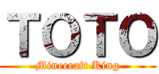 ＴＯＴＯ (Minecraft King)