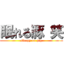 眠れる豚 笑 (sleepy on pig)