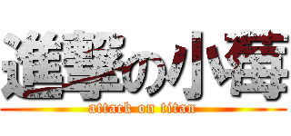 進撃の小莓 (attack on titan)