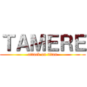 ＴＡＭＥＲＥ (attack on titan)