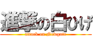 進撃の白ひげ (attack on Newgate)