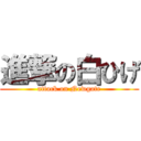 進撃の白ひげ (attack on Newgate)