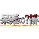 呆雍の雞排 (hehe)