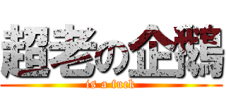 超老の企鵝 (is a fuck)