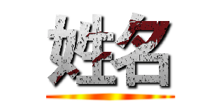 姓名 ()