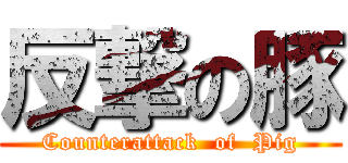 反撃の豚 (Counterattack  of  Pig)