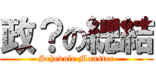 政？の總結 (Schedule Monster)