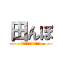 田んぼ (やっぱ田んぼきもいわ)