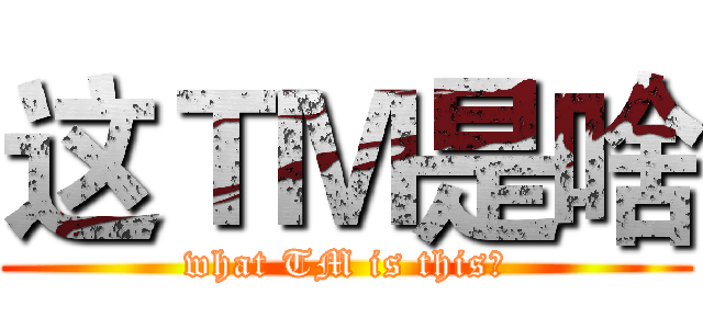 这ＴＭ是啥 (what TM is this？)