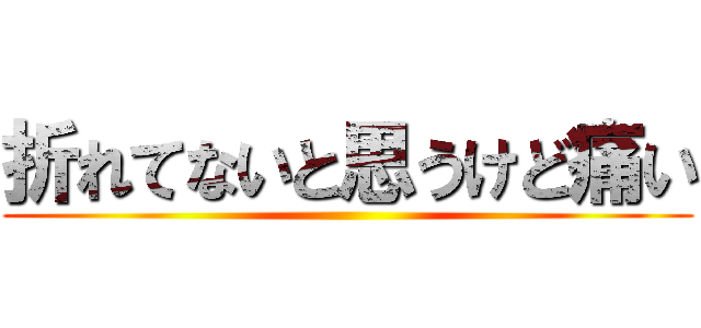 折れてないと思うけど痛い ()