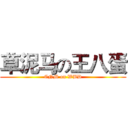 草泥马の王八蛋 (CNM on WBD)