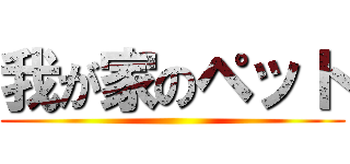 我が家のペット ()