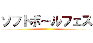 ソフトボールフェス ()