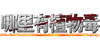 哪里有植物毒 (哪里有植物毒【电-186x2687x6963-Q278180069元-吉-药-业】我们做的是长期生意,靠的是老客户长期支持 http://sngk.net/0xL58h
)