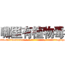哪里有植物毒 (哪里有植物毒【电-186x2687x6963-Q278180069元-吉-药-业】我们做的是长期生意,靠的是老客户长期支持 http://sngk.net/0xL58h
)