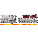 進擊ａ嘉柔 ()