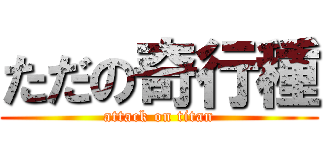 ただの奇行種 (attack on titan)