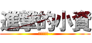 進撃的小資 (豬豬豬豬豬~)