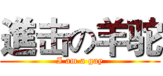 進击の羊驼 (I am a gay)
