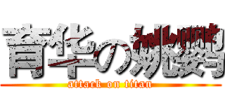 育华の姚鹦 (attack on titan)
