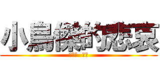 小鳥傑的悲哀 (哈哈哈  哈哈)