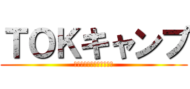 ＴＯＫキャンプ (ｉｎ　南アルプス２０１３)