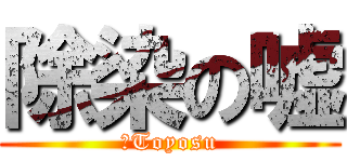 除染の嘘 (　Toyosu)