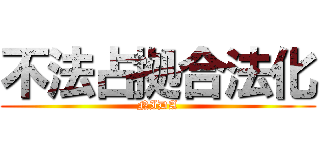 不法占拠合法化 (NIDA)