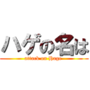 ハゲの名は (attack on Hage )