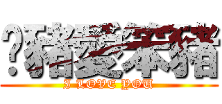 傻豬愛笨豬 (I LOVE YOU)