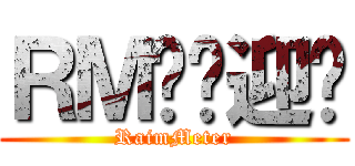 ＲＭ吧欢迎您 (RaimMeter)