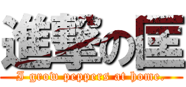 進撃の匡 (I grow peppers at home.)