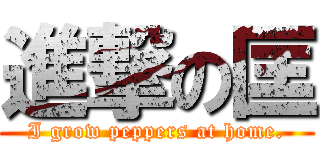 進撃の匡 (I grow peppers at home.)