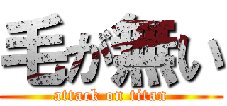 毛が無い (attack on titan)